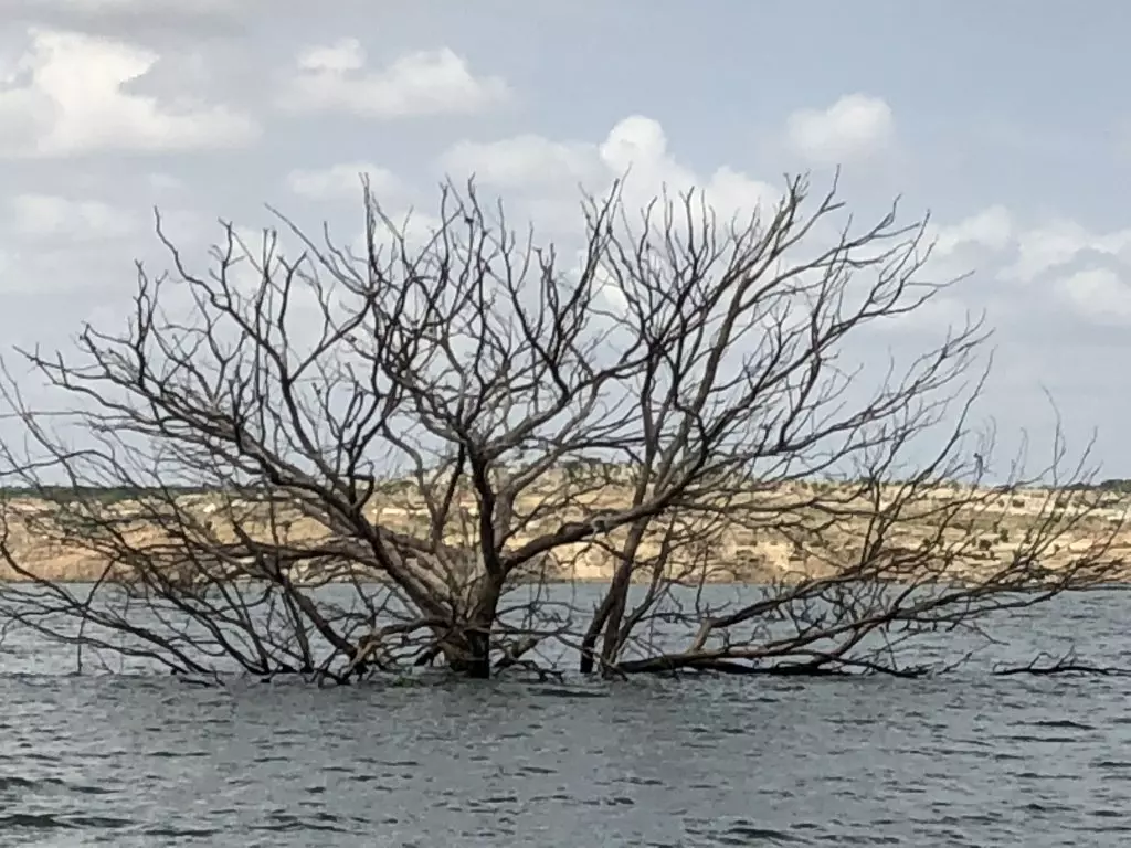 LMD---Memórias-da-Chuva.jpg